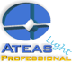 ATEAS Security PROFESSIONAL LA 1 licence