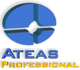 ATEAS Security PROFESSIONAL 1 licence