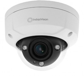 BX420 HD Environmental Vandal Resistant Minidome Camera, Built-in IR, Standard L